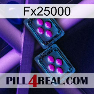 Fx25000 03